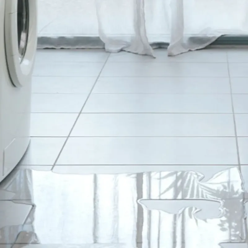Appliance Leak Cleanup in Richwood, NJ