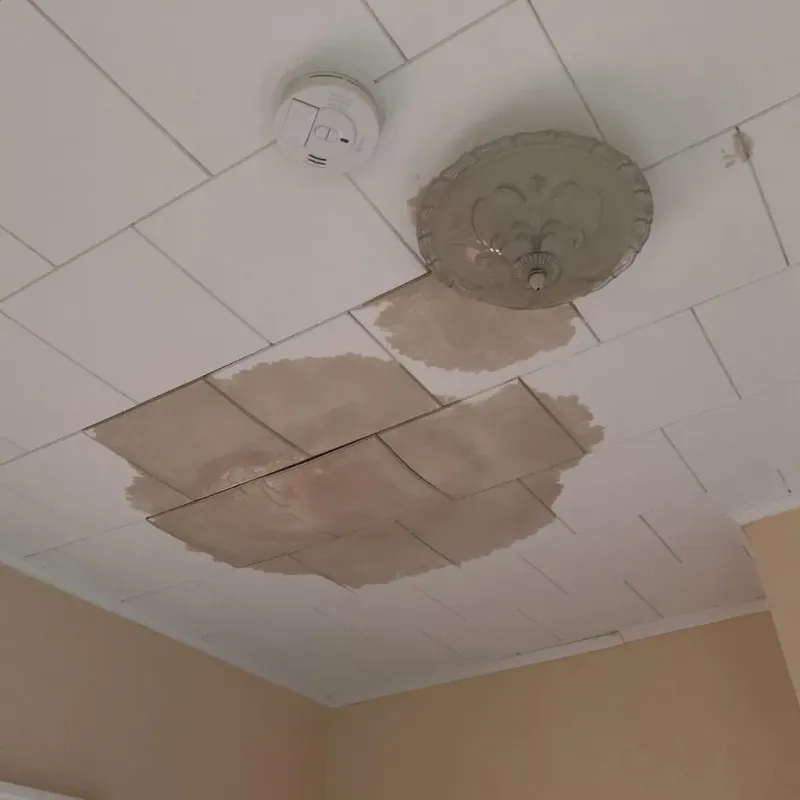 Ceiling Water Damage Repair in Richwood, NJ