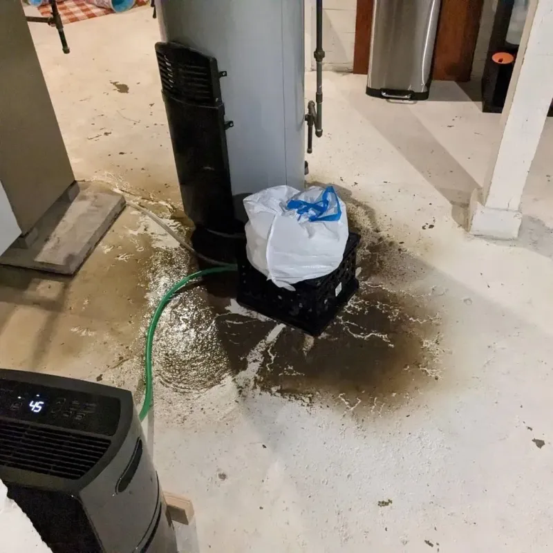 Sewage Backup Cleanup Service in Richwood, NJ